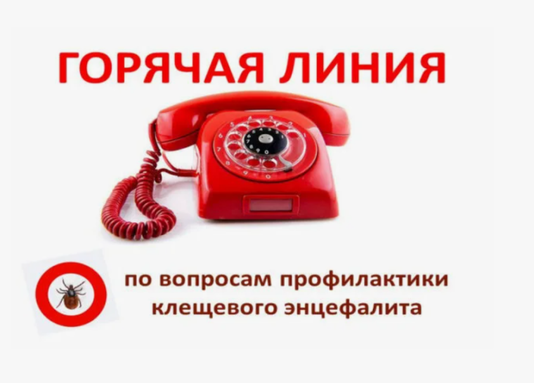 «горячая линия» по профилактике клещевого энцефалита.